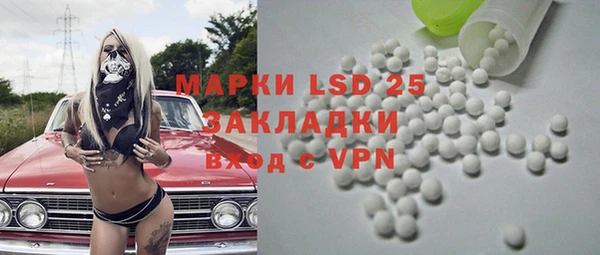 крисы Козловка