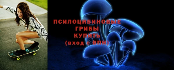 ПСИЛОЦИБИНОВЫЕ ГРИБЫ Белоозёрский