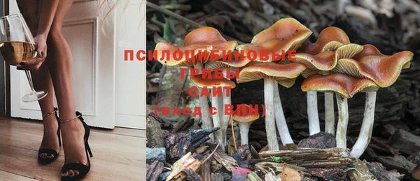 марки nbome Беломорск