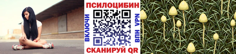где можно купить   Володарск  Псилоцибиновые грибы MAGIC MUSHROOMS 